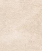 むら雲染め 典具帖　茶＋白の画像