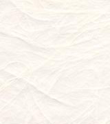 雲竜紙 厚口 晒の画像