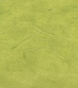雲竜紙 厚口 黄緑画像