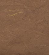 雲竜紙 厚口 茶の画像