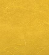 雲竜紙 厚口 黄の画像