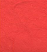 雲竜紙 厚口 朱の画像