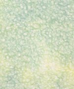 落水紙 典具帖 緑＋黄緑の画像