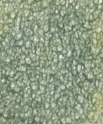 落水紙 典具帖 濃緑＋緑の画像