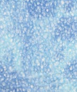 落水紙 典具帖 青＋水の画像