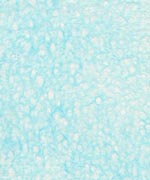 落水紙 典具帖 水の画像