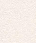 落水紙 典具帖 白の画像