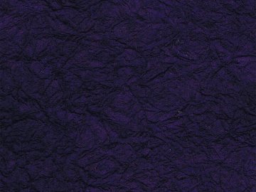 強製紙 塩基紫画像