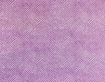 京染め 鹿の子 紫画像