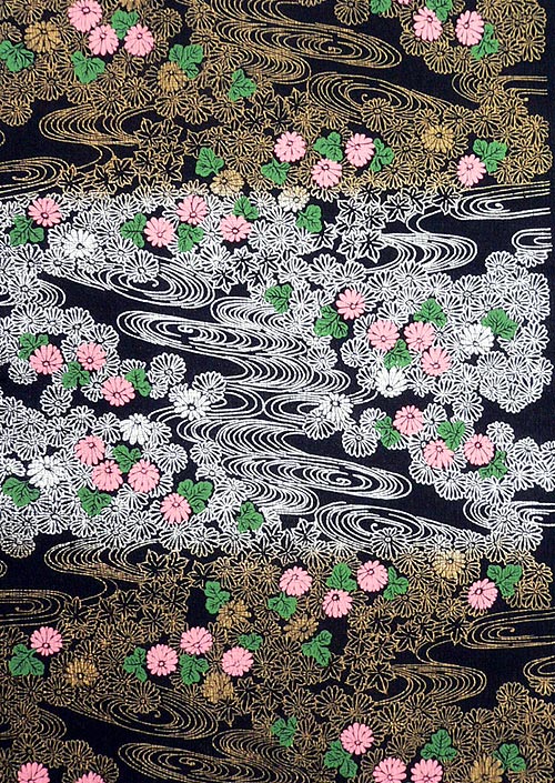 能千代　菊流水　黒の画像