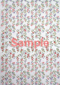 能千代　しだれの桜　白の画像