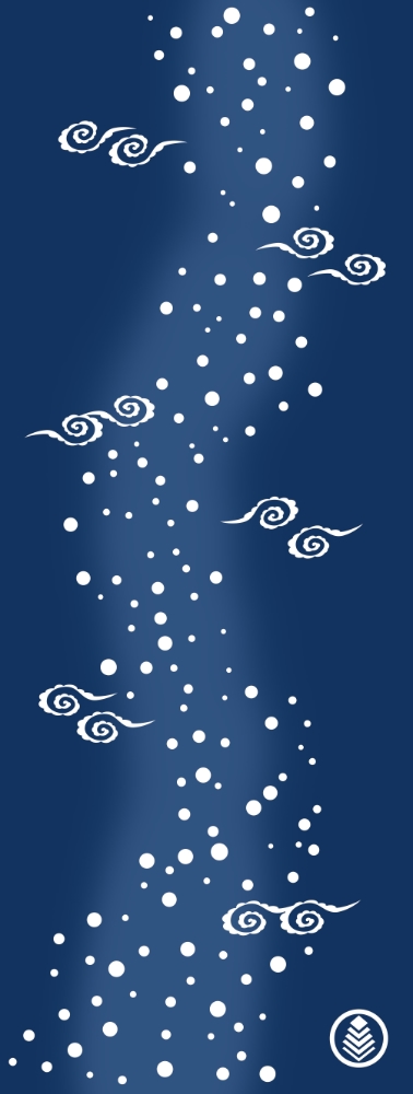 流星の画像