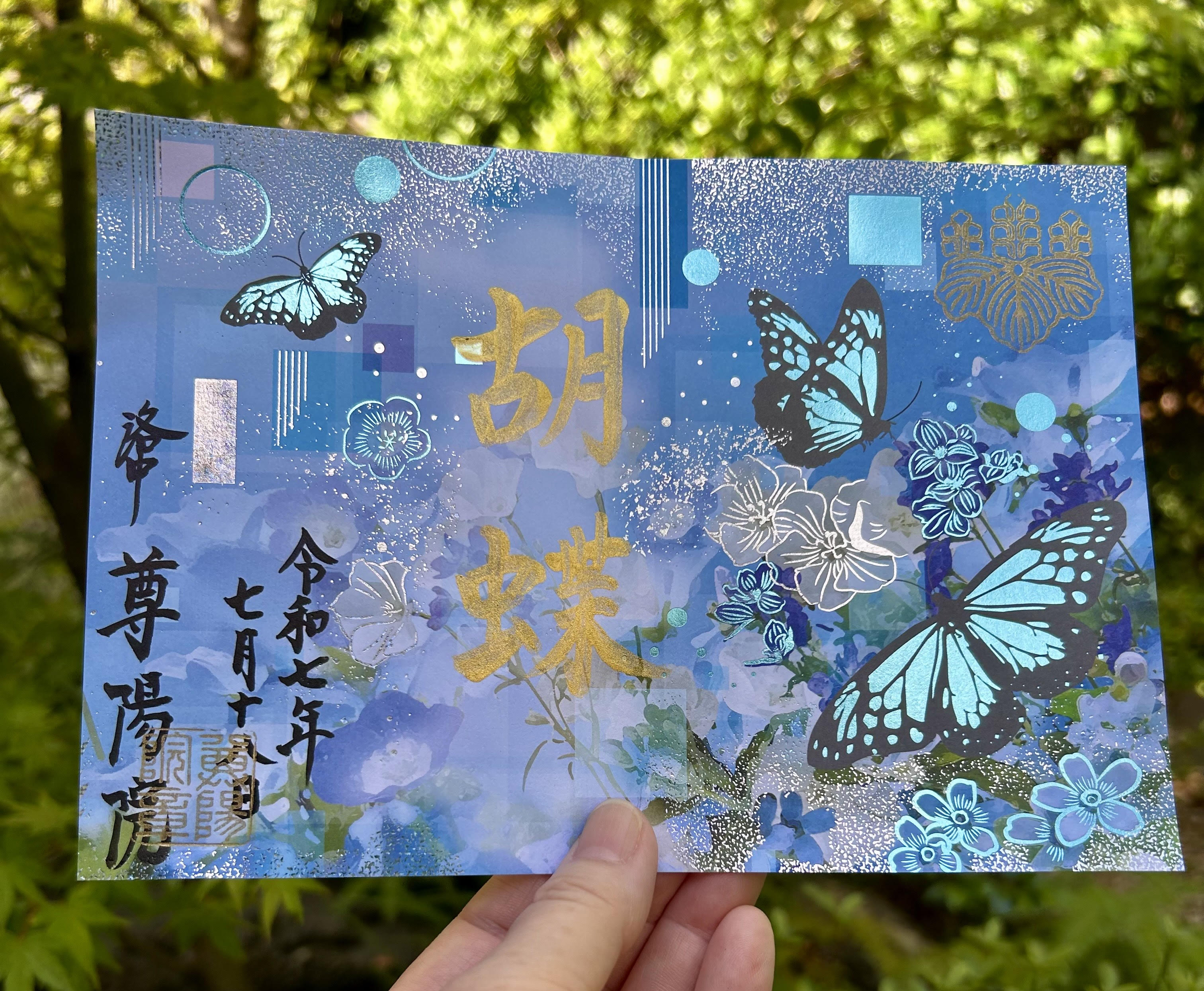 胡蝶　第一弾の画像