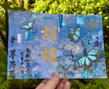 胡蝶　第一弾の画像