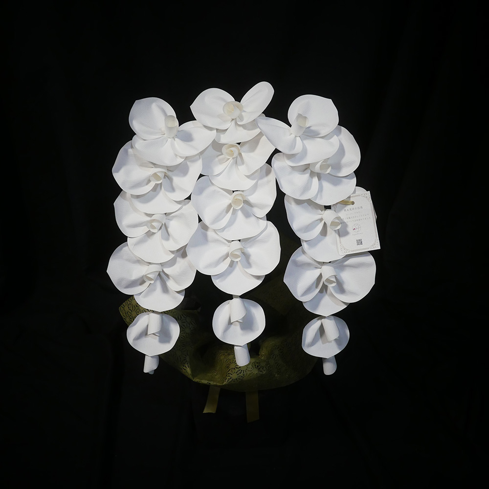 2026 SuperFlower 胡蝶蘭 2万円モデル