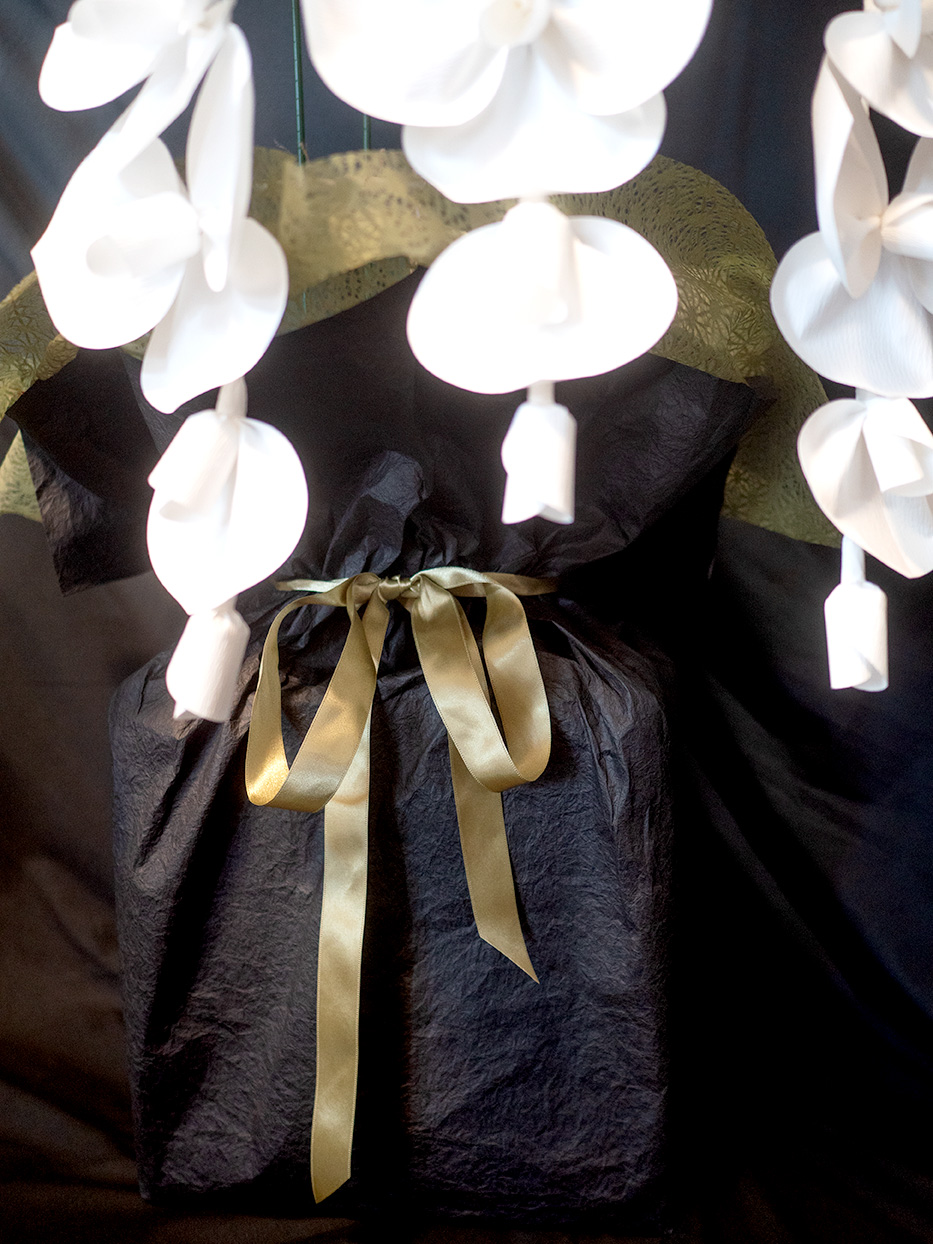 2026 SuperFlower 胡蝶蘭（2万円）の画像