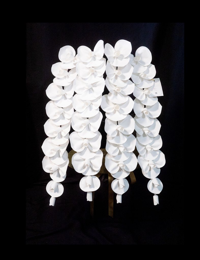 2026 SuperFlower 胡蝶蘭（5万円／4連仕様）の画像