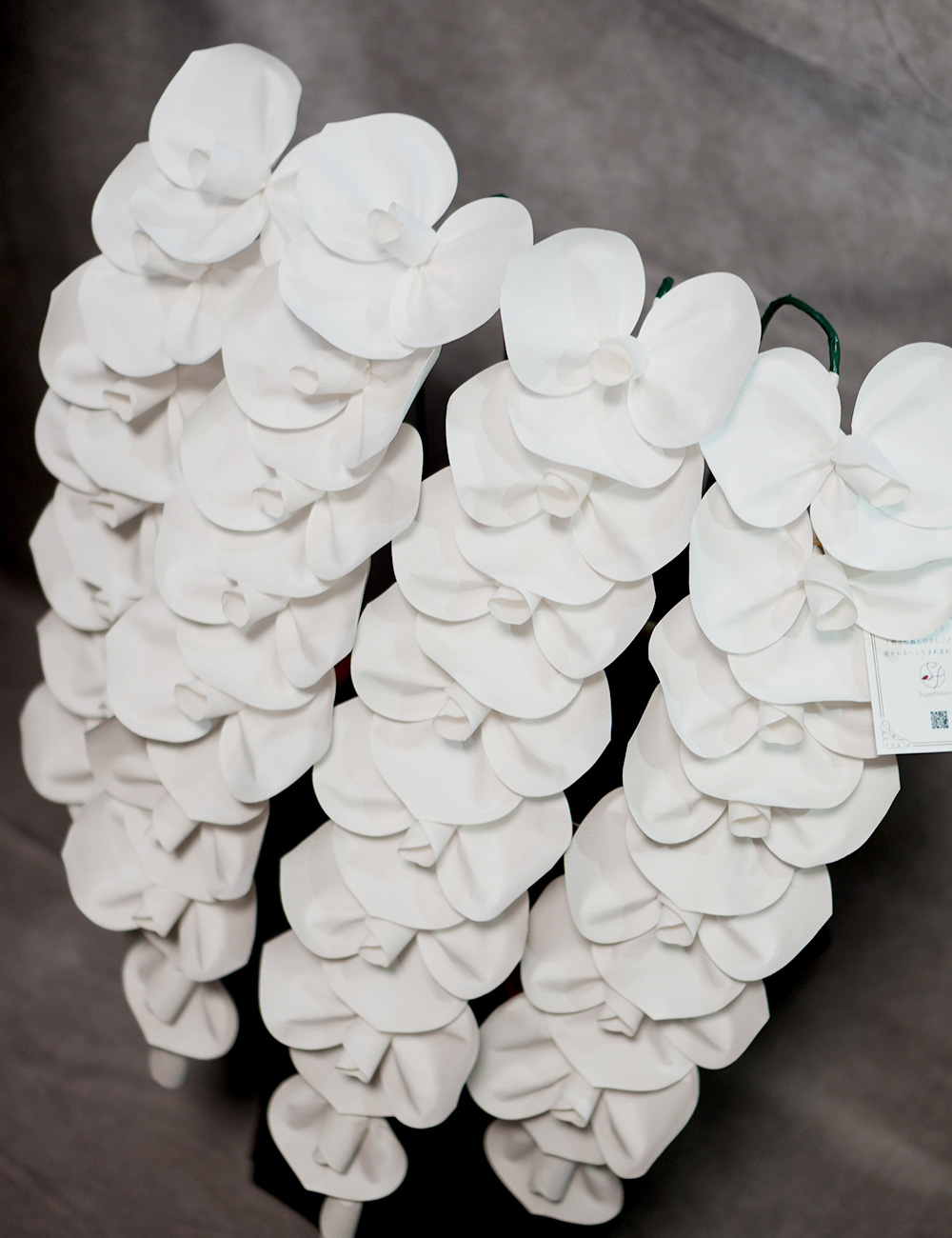 2026 SuperFlower 胡蝶蘭（5万円／4連仕様）の画像