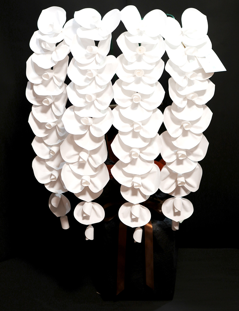 2026 SuperFlower 胡蝶蘭（5万円／4連仕様）の画像