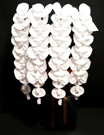 2026 SuperFlower 胡蝶蘭（5万円／4連仕様）の画像