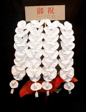 2026 SuperFlower 胡蝶蘭（5万円／4連仕様）の画像