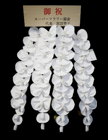 2026 SuperFlower 胡蝶蘭（5万円／4連仕様）の画像