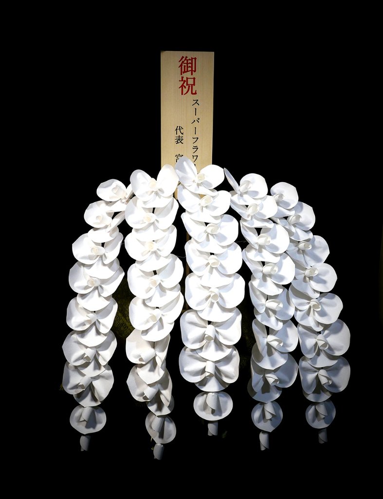 2026 SuperFlower 胡蝶蘭｜7万円ギフト（5連仕様）の画像