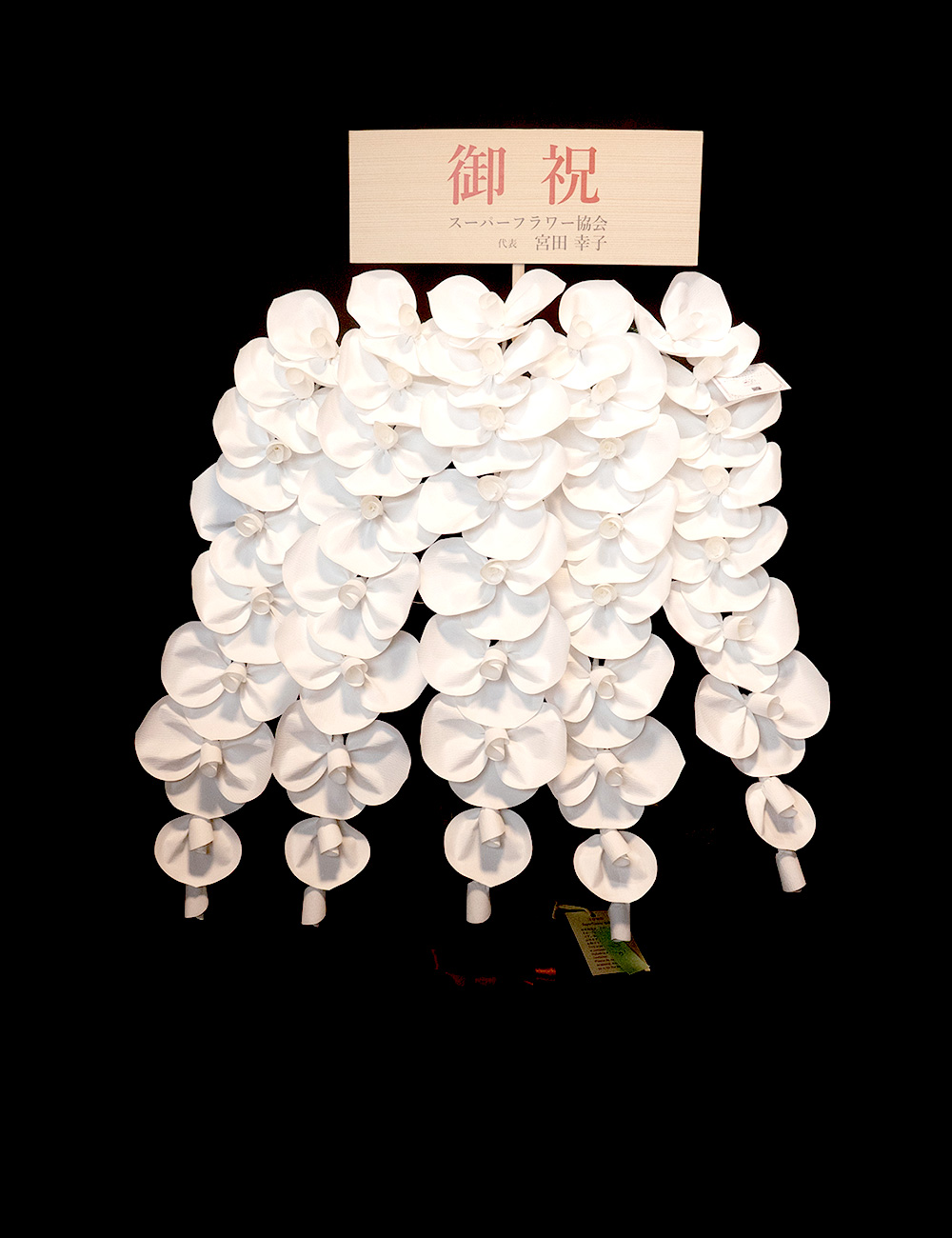 2026 SuperFlower 胡蝶蘭｜7万円ギフト（5連仕様）の画像