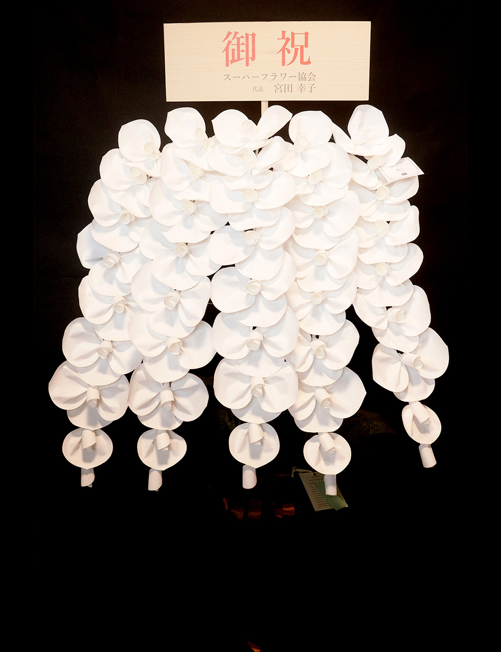 2026 SuperFlower 胡蝶蘭｜7万円ギフト（5連仕様）の画像