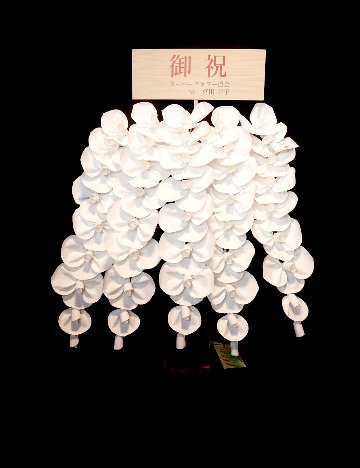 2026 SuperFlower 胡蝶蘭｜7万円ギフト（5連仕様）の画像