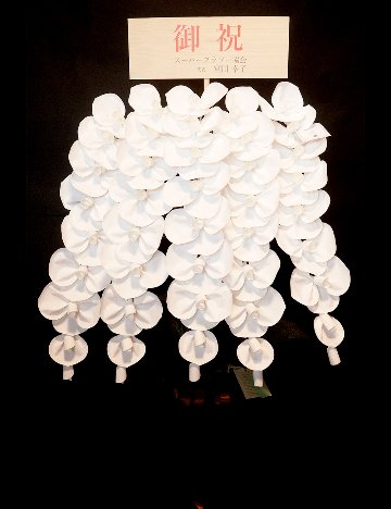 2026 SuperFlower 胡蝶蘭｜7万円ギフト（5連仕様）の画像