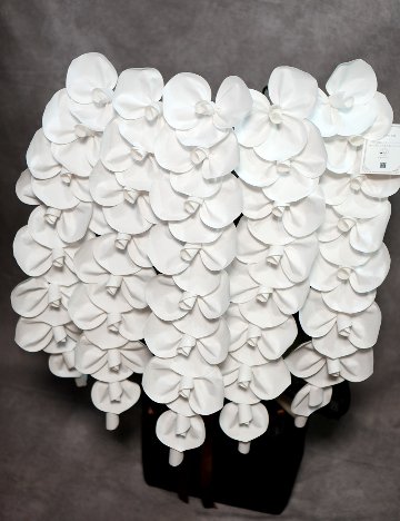 2026 SuperFlower 胡蝶蘭｜7万円ギフト（5連仕様）の画像