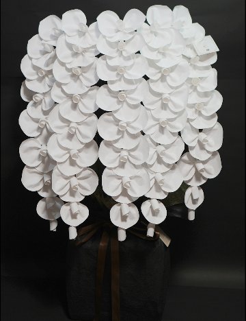 2026 SuperFlower 胡蝶蘭｜7万円ギフト（5連仕様）の画像