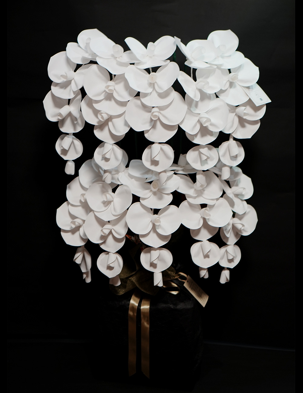 2026 SuperFlower 胡蝶蘭 10万円モデル（10連仕様）