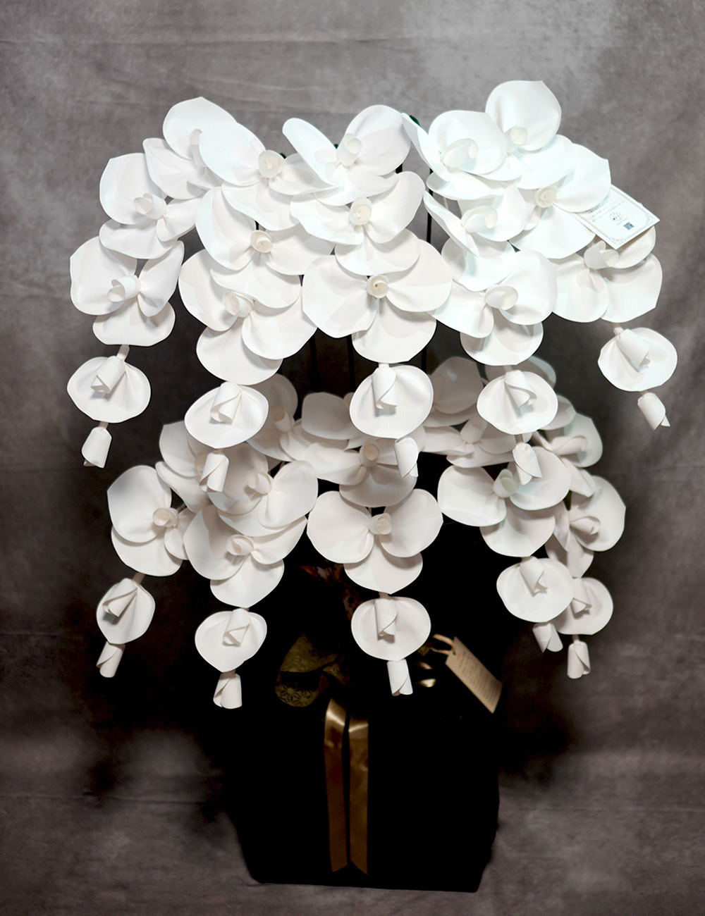 2026 SuperFlower 胡蝶蘭（10万円／10連仕様）の画像