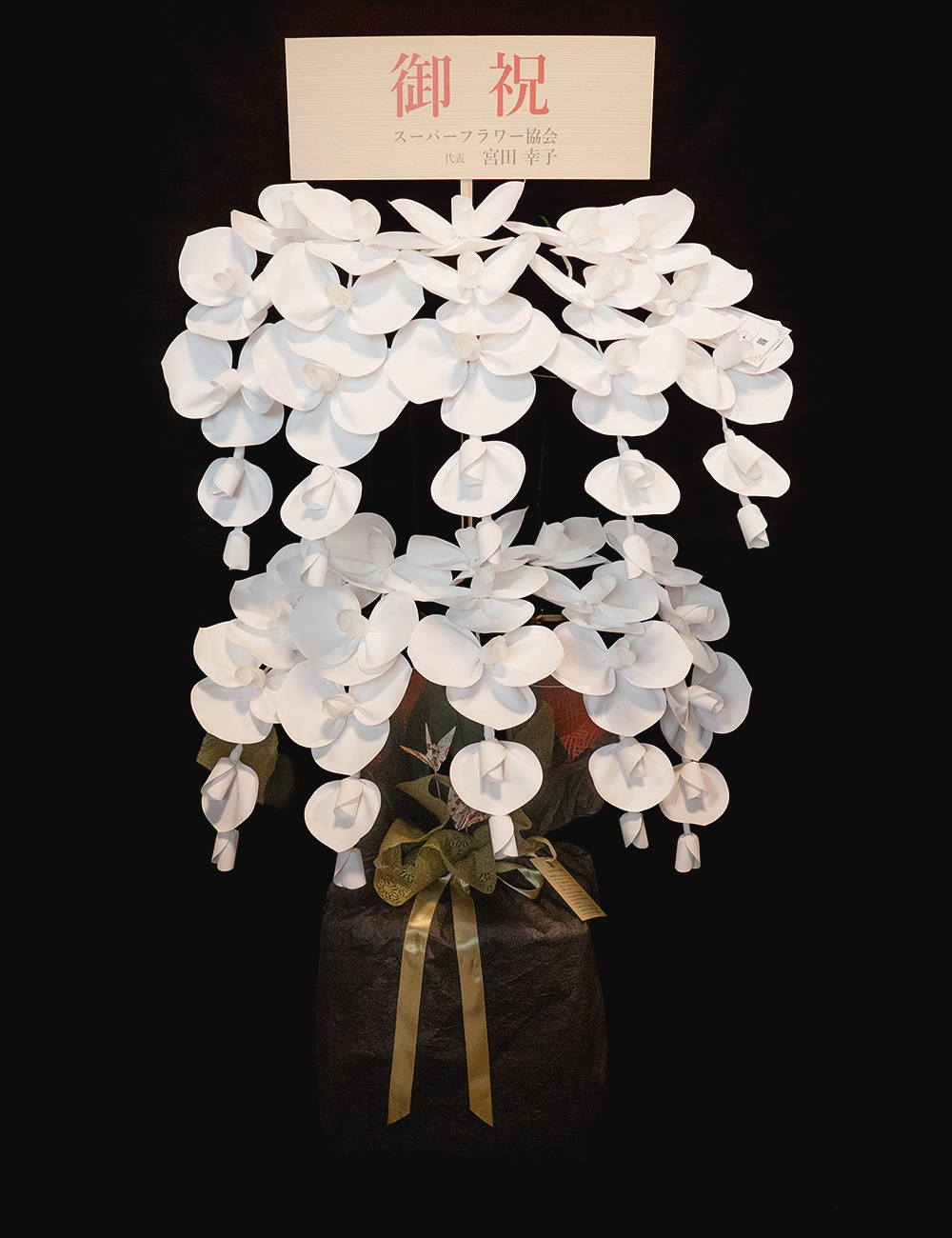 2026 SuperFlower 胡蝶蘭（10万円／10連仕様）の画像