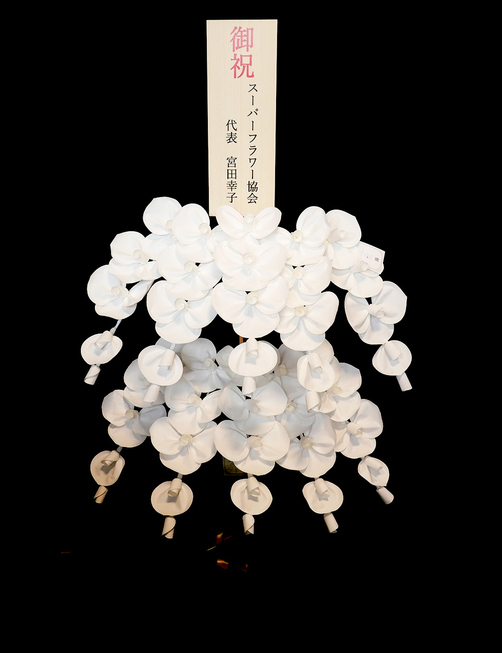 2026 SuperFlower 胡蝶蘭（10万円／10連仕様）の画像