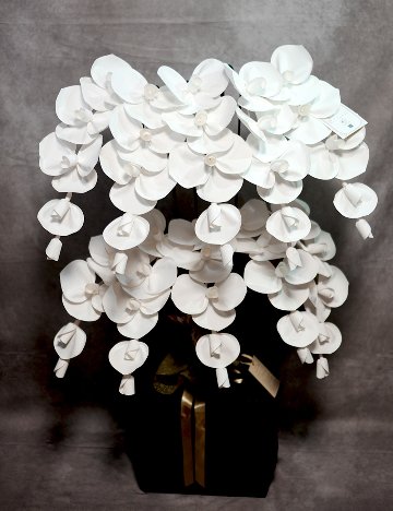 2026 SuperFlower 胡蝶蘭（10万円／10連仕様）の画像