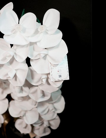 2026 SuperFlower 胡蝶蘭（10万円／10連仕様）の画像