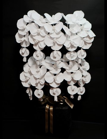 2026 SuperFlower 胡蝶蘭（10万円／10連仕様）の画像