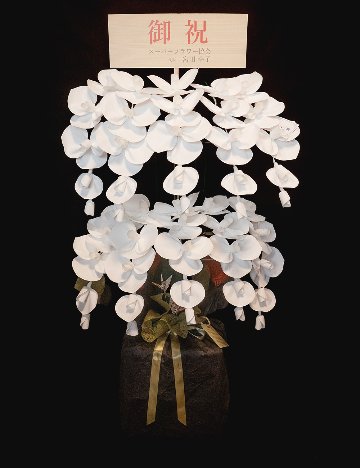 2026 SuperFlower 胡蝶蘭（10万円／10連仕様）の画像