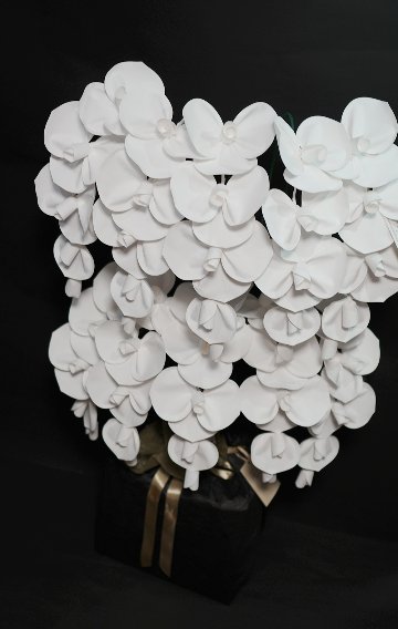 2026 SuperFlower 胡蝶蘭（10万円／10連仕様）の画像