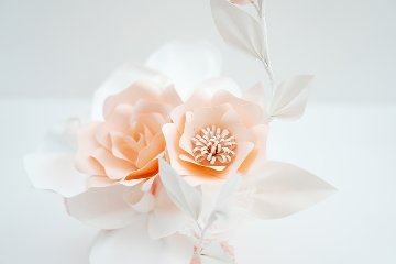 華 -HANA-｜胡蝶蘭と薔薇が織りなす優美なアレンジの画像