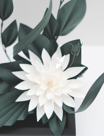 白翠 -HAKUSUI-｜Expo 2025 迎賓館 Modelの画像