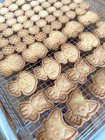 米粉わんこクッキー(さつまいも味)の画像