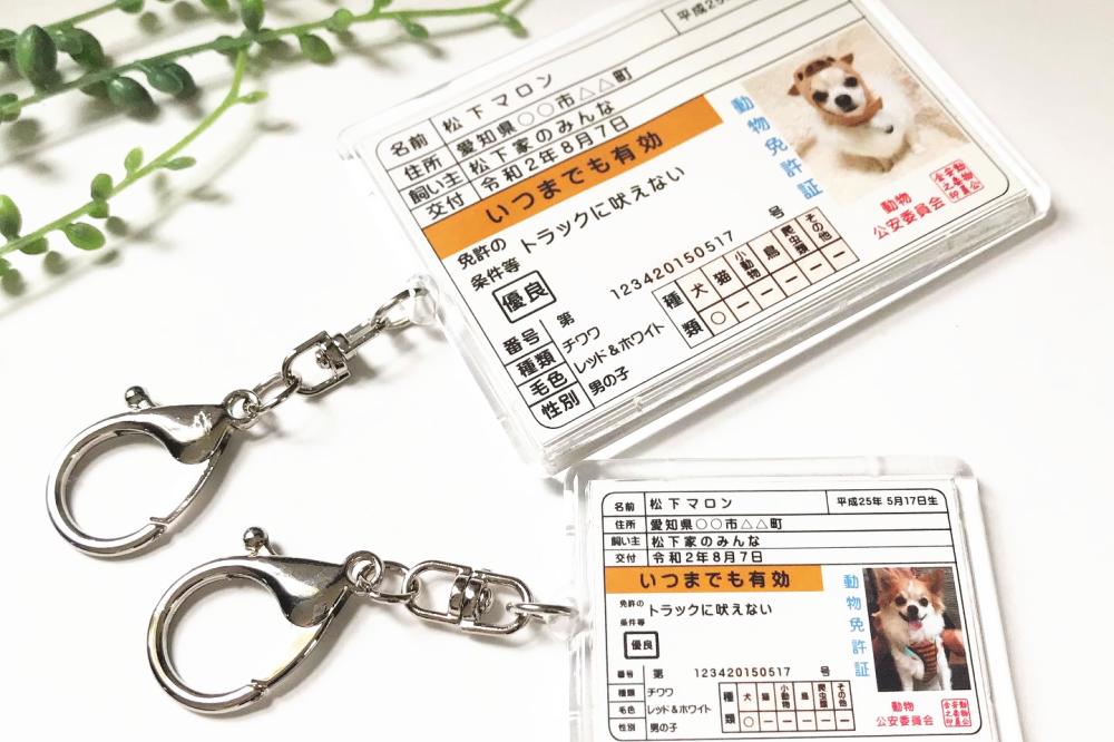 うちの子免許証風キーホルダーの画像