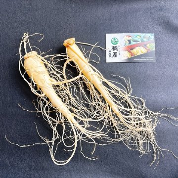会津産高麗人参　農家直送　掘りたてです　（おたね人参）の画像