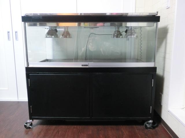 オリジナルケージＤＸタイプの画像