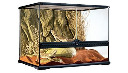 エキゾテラ　グラステラリウム6045　（お取り寄せ品）の画像