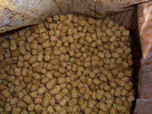 Ｍａｚｕｒｉマズリ トータスフード業務用11.34Ｋｇ お取り寄せ品の画像